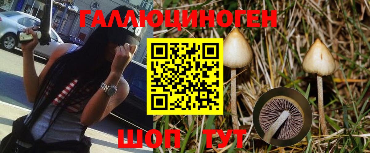 Галлюциногенные грибы MAGIC MUSHROOMS Стрежевой