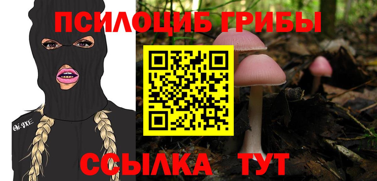 как найти закладки  Вход с VPN  Псилоцибиновые грибы GOLDEN TEACHER  Стрежевой  Галлюциногенные грибы GOLDEN TEACHER 