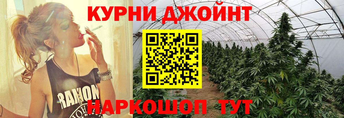 Конопля конопля Стрежевой